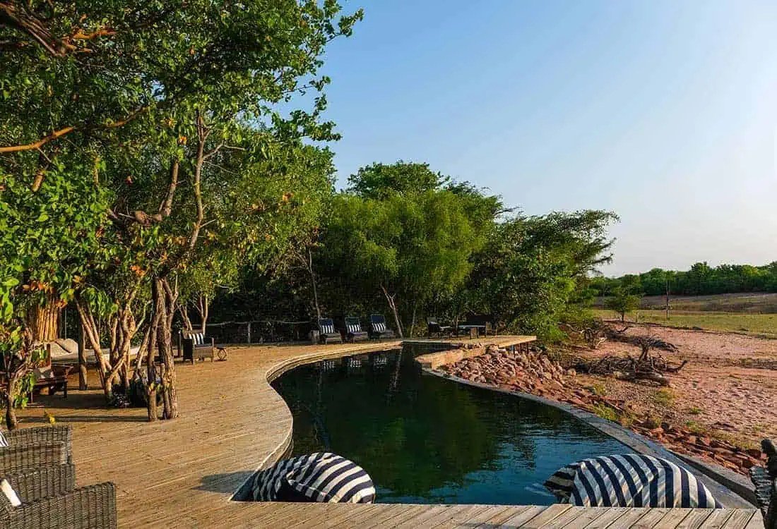 A curved plunge pool traces the tree line at Changa Safari Camp in late light.