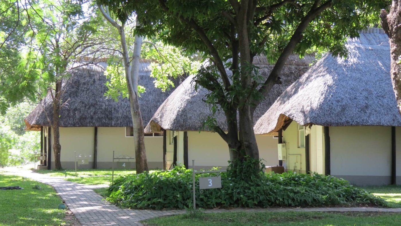 Thatched cottages set under big trees along the path at Spurwing Island, Matusadona.